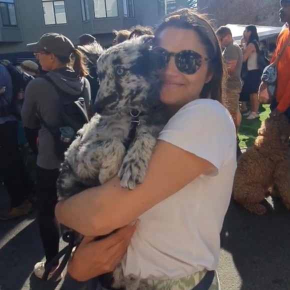 Meet your Posher, Posh - Picture 1 of 1